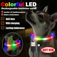 Led Pet Collar Dog Colorful Light Up Collar Free Cut Night Light Dog Walking Lights Flashing Neck Scarf Usb Charging Featured